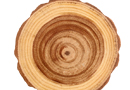 木门制作过程中，木头干燥速度影响因素有哪些？