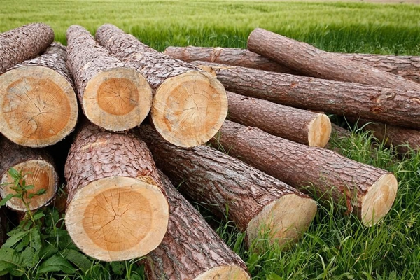 帝帮木门：每一根木头都是有性格的！！