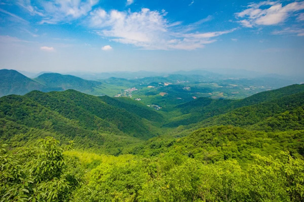 盈康世家木门，质感与高雅结合，浅酌岁月静美