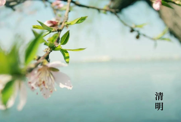 蔓兹堡天然系木门 | 清明时节祭亲友，致敬缅怀再前行