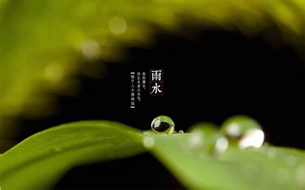 科派木门·今日雨水 | 好雨知时节，当春乃发生