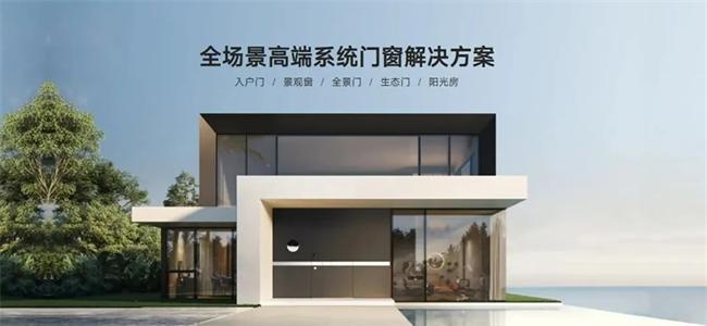 顶固集创